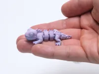 SingleColor Print Profile - iguana