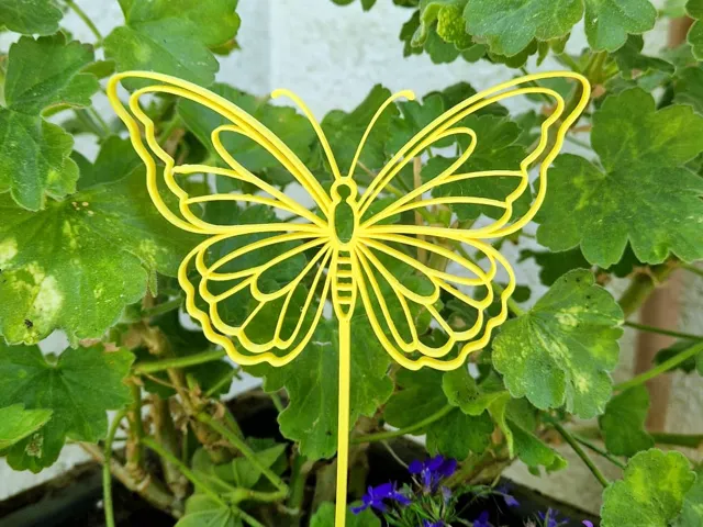 Butterfly Decoration