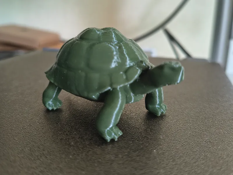 Tortoise – 3D Print Model