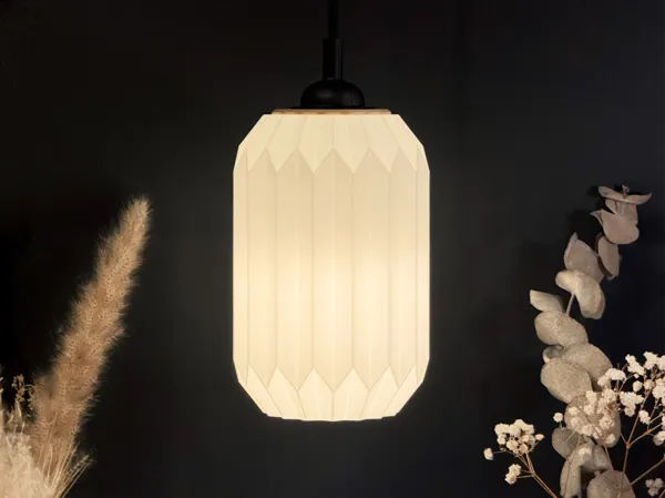https://makerworld.bblmw.com/makerworld/model/US86fbe9034785f7/design/2025-01-21_a91c9dc3e79d78.jpeg