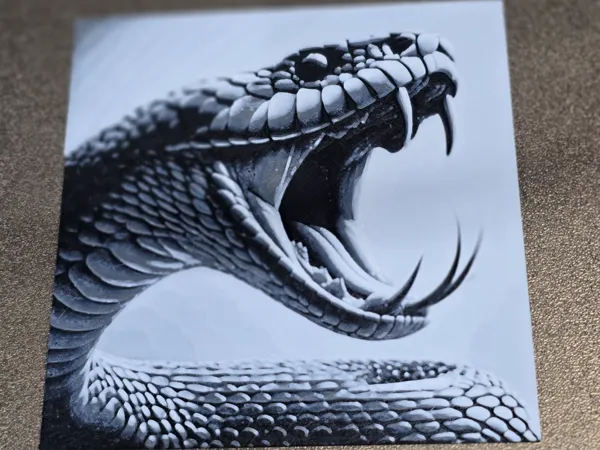 https://makerworld.bblmw.com/makerworld/model/US87061055e389cf/design/2024-11-16_b9218bdb2e5a5.jpg