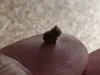 0.2mm nozzle, 0.06mm layer, 4 walls, 15% infill