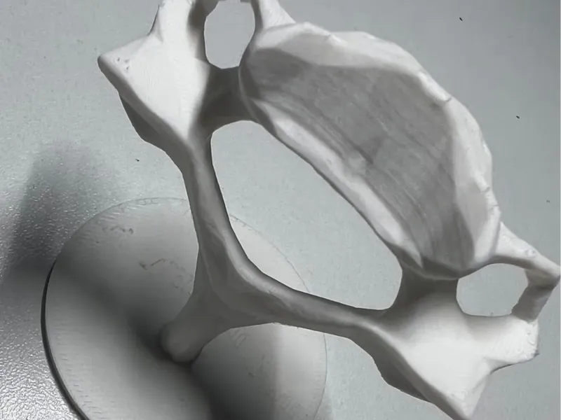 Modelo 3d vertebra columna humana