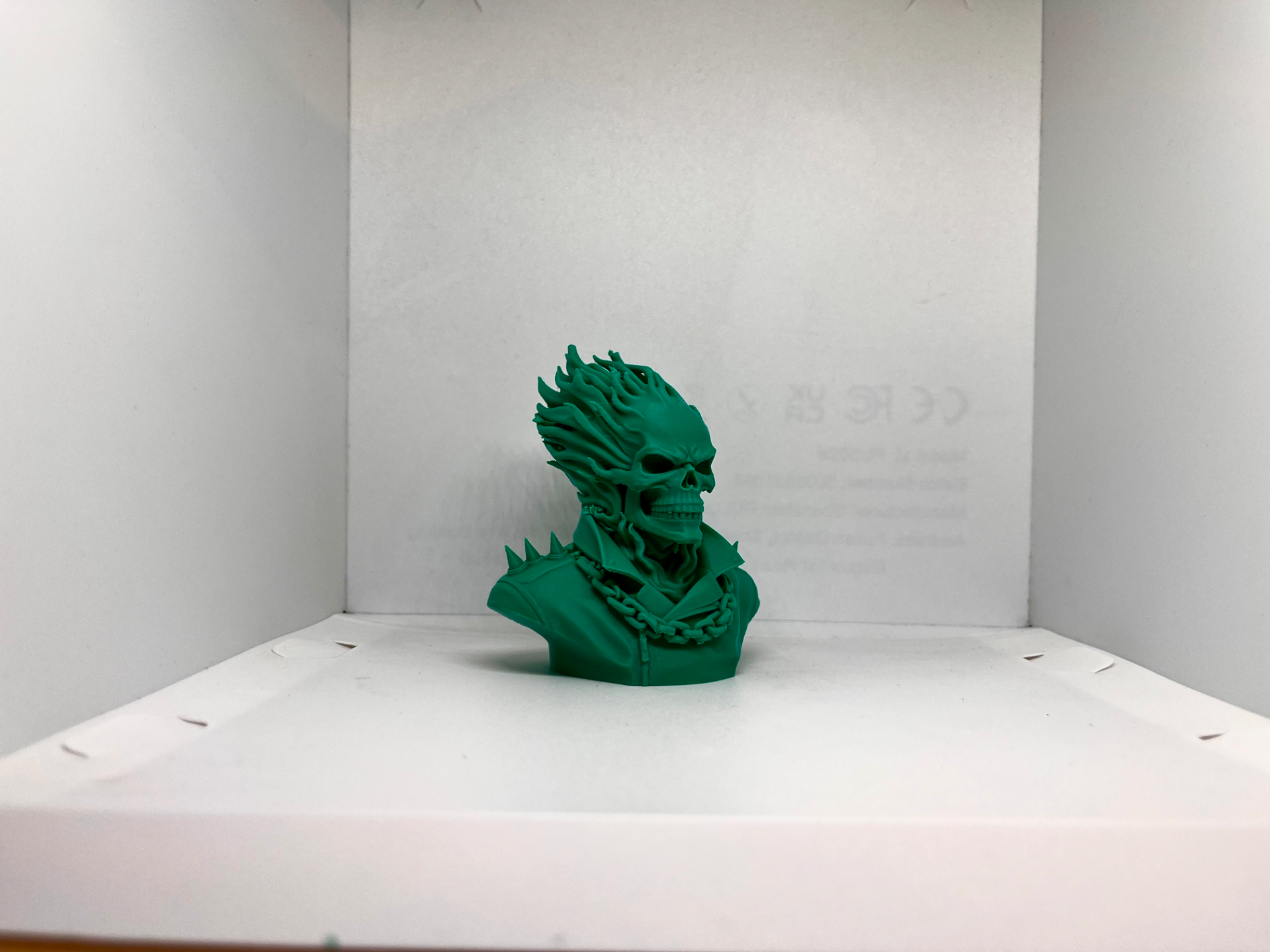 Ghost rider bust