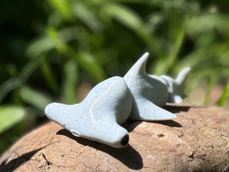 Baby Hammerhead flexi