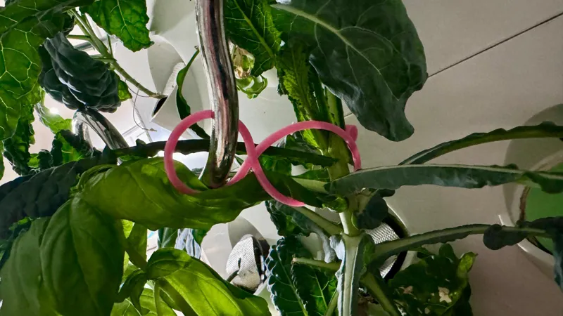 Garden Trellis Clip