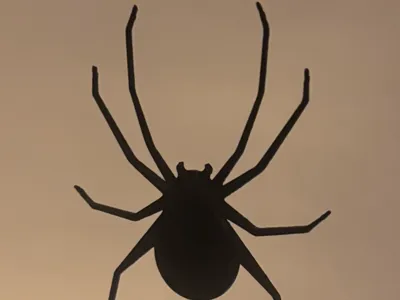 Halloween 2D Spider