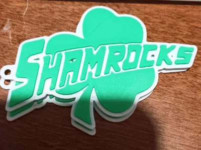 Shamrocks key chain