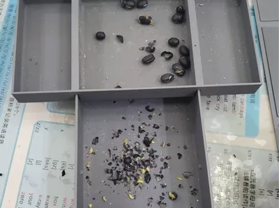 Desktop Snack and Shell Waste Tray