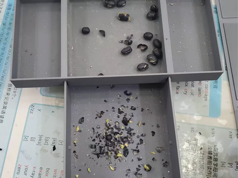 桌面零食盘果壳盘垃圾盘