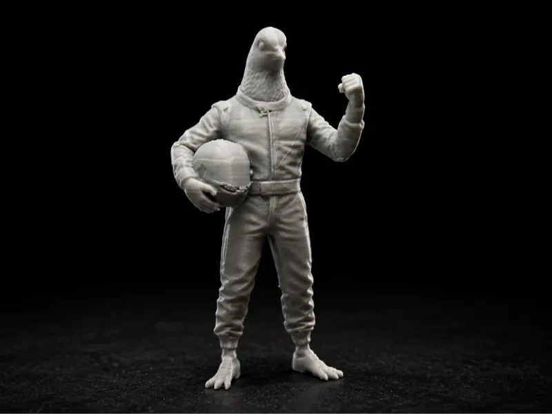 F1 Pigeon Race Driver