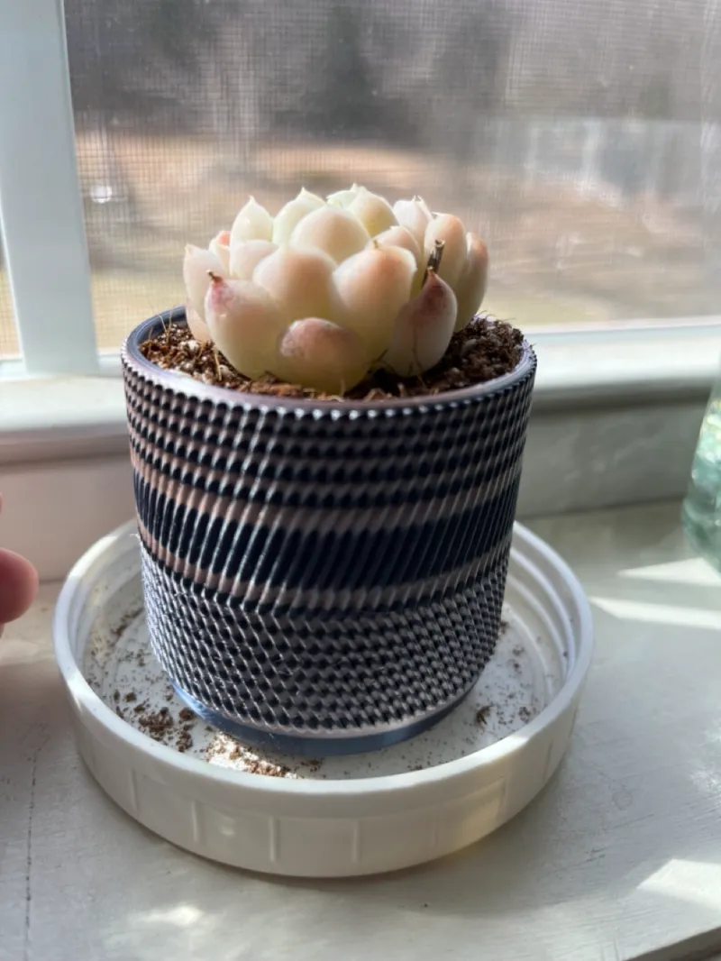 Tiny plant pot, approx 60x60x60 mm - with holes