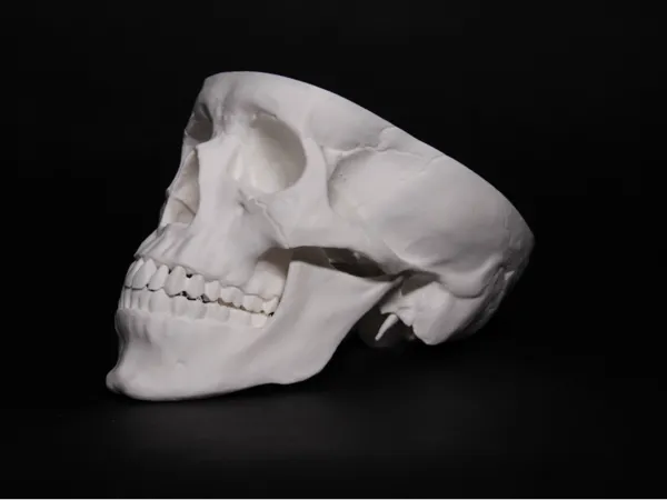 https://makerworld.bblmw.com/makerworld/model/US873217758e1f0d/design/2025-09-27_477bb12ed5df7.jpg