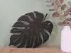 A1 Mini Optimized Monstera 2