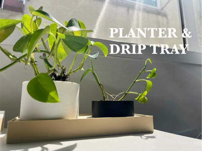 Minimal Desktop Planter