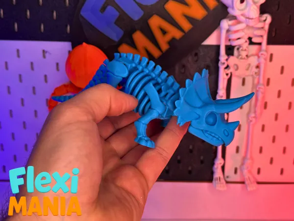https://makerworld.bblmw.com/makerworld/model/US87393d463c66d0/design/2025-11-28_f6191d048d9b8.png