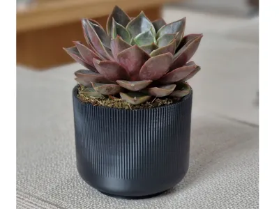 mini plant pot ribbed
