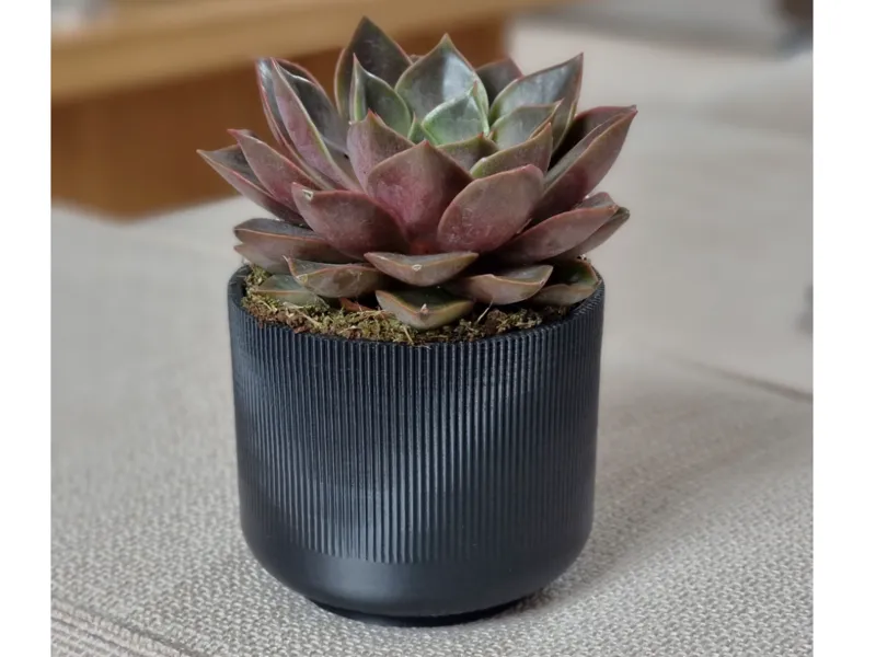 mini plant pot ribbed
