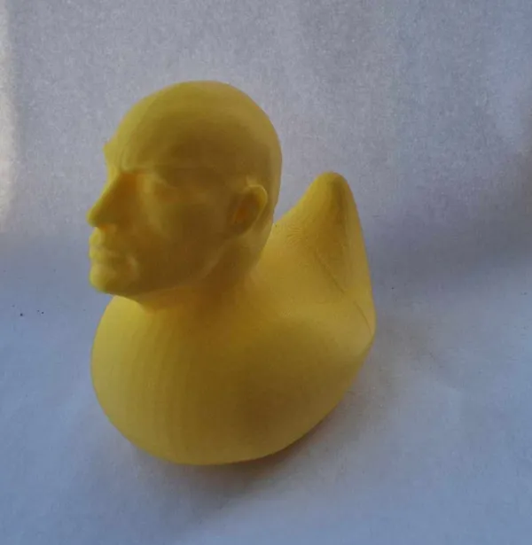 https://makerworld.bblmw.com/makerworld/model/US873d9aa5e95990/design/2024-10-04_51d867ccd39c7.jpg