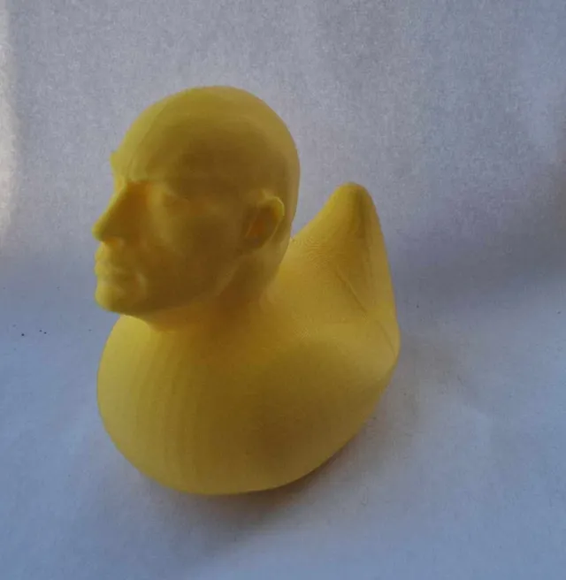 The Rubber Rock Duck - Dwayne the duck Johnson