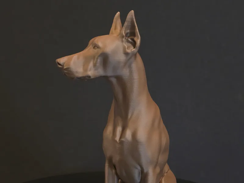 Doberman Pinscher