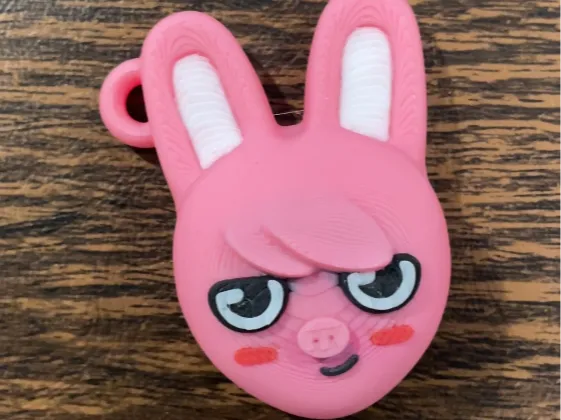 https://makerworld.bblmw.com/makerworld/model/US87486d93c13c2e/design/2025-06-09_3bd24333087908.png