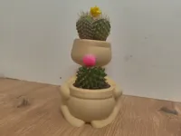Duo de pots cactus mère et enfant — photo 1