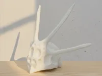 0.2mm layer, 2 walls, 5% infill