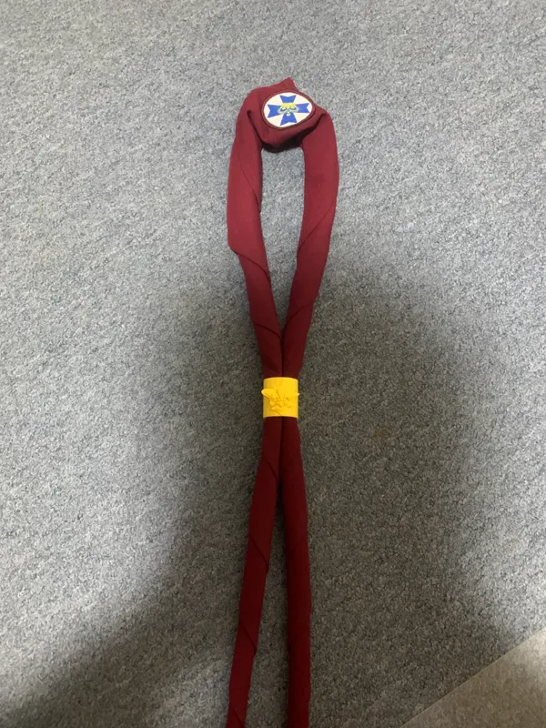 https://makerworld.bblmw.com/makerworld/model/US874aeed0a8faef/design/2024-04-07_e24e9d0a026e9.jpg