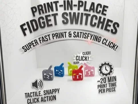 Fidget Switch Print in Place