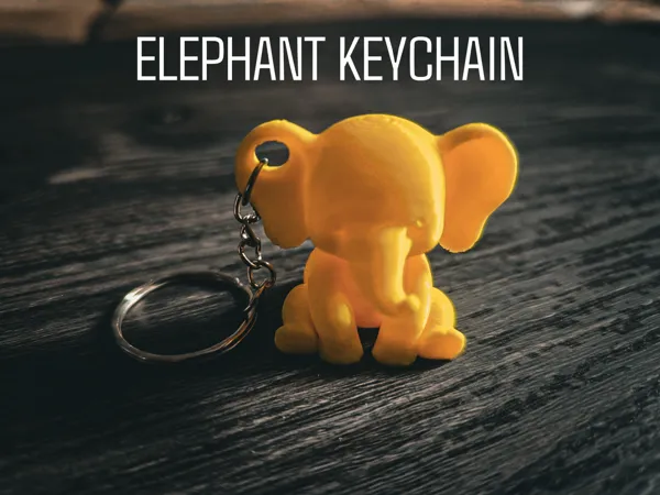 https://makerworld.bblmw.com/makerworld/model/US8752305907053/design/2025-04-11_249b82eea661a8.png