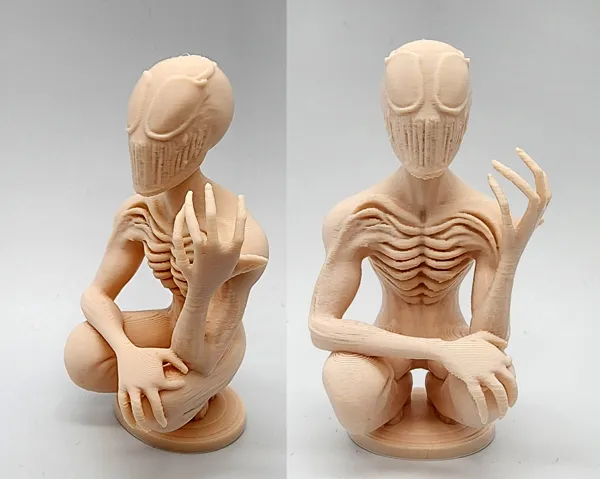 https://makerworld.bblmw.com/makerworld/model/US87524dfb2af2fa/design/2025-03-15_smzi8xmfay86.jpg