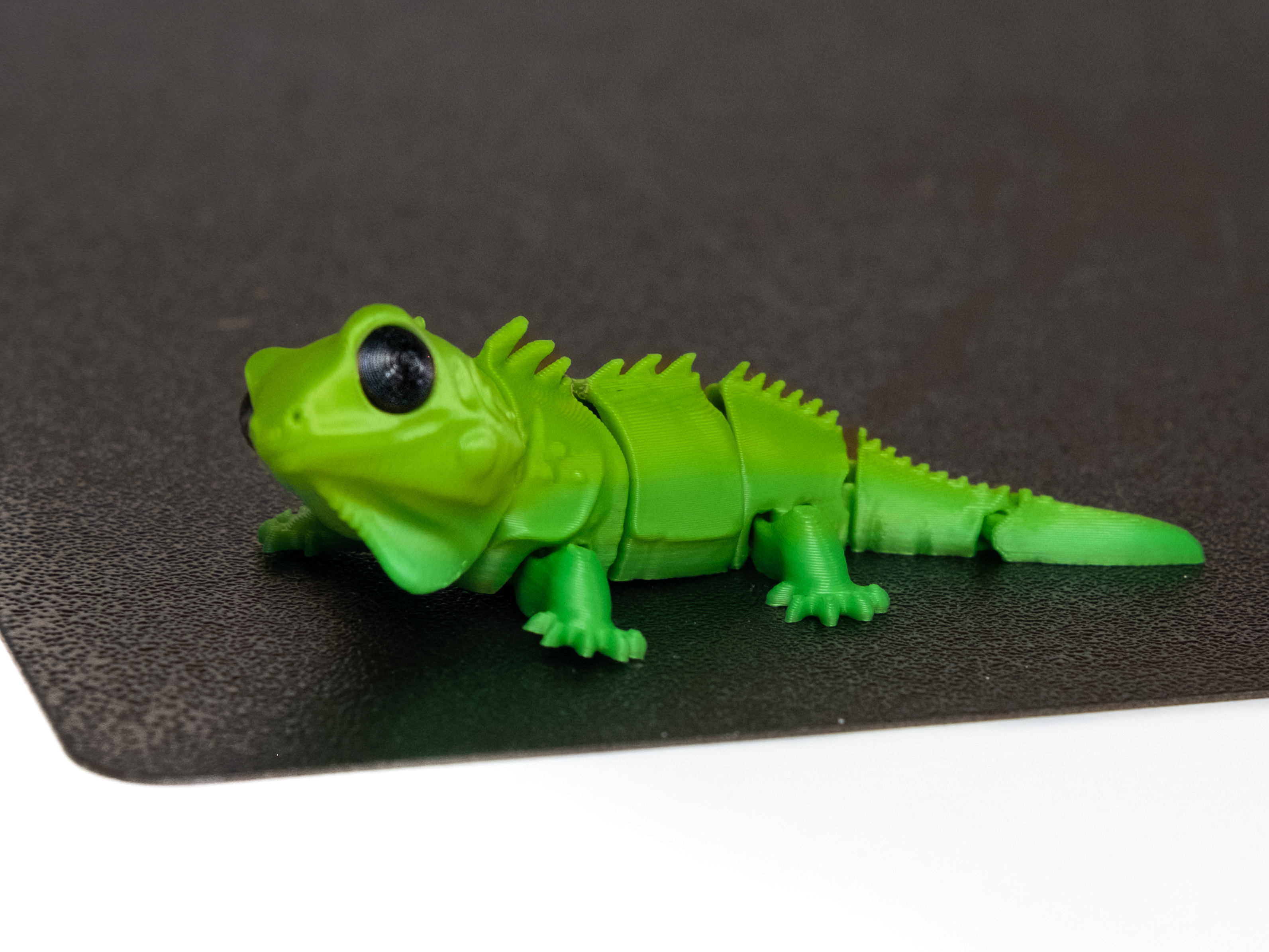 Miniatura 2 do modelo 3D Flexi Iguana-Articulate