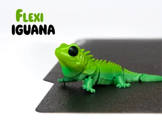 Flexi Iguana-Articulate