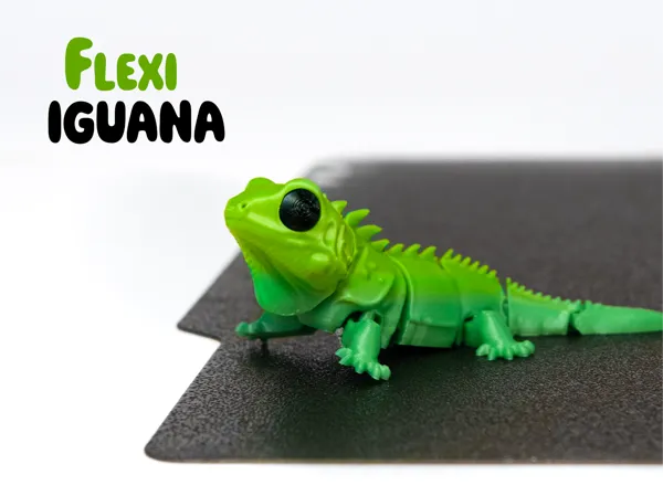 https://makerworld.bblmw.com/makerworld/model/US87553a2158bd36/design/28d9a9fe471bc99f.jpg