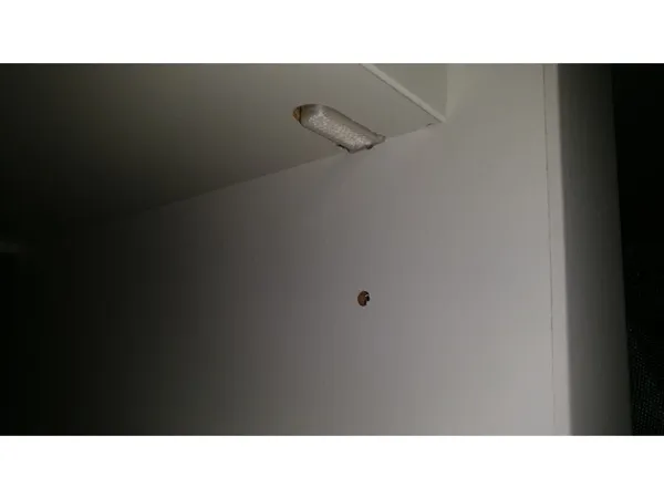 https://makerworld.bblmw.com/makerworld/model/US8756198a912439/design/2025-06-23_qg9mypdpagan.jpg