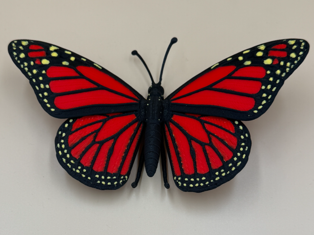 Majestic Monarch Butterfly - 1