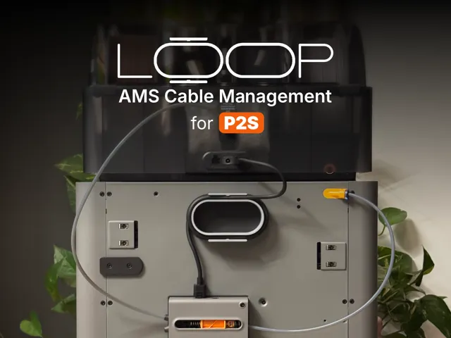 Loop AMS Cable Management for P2S