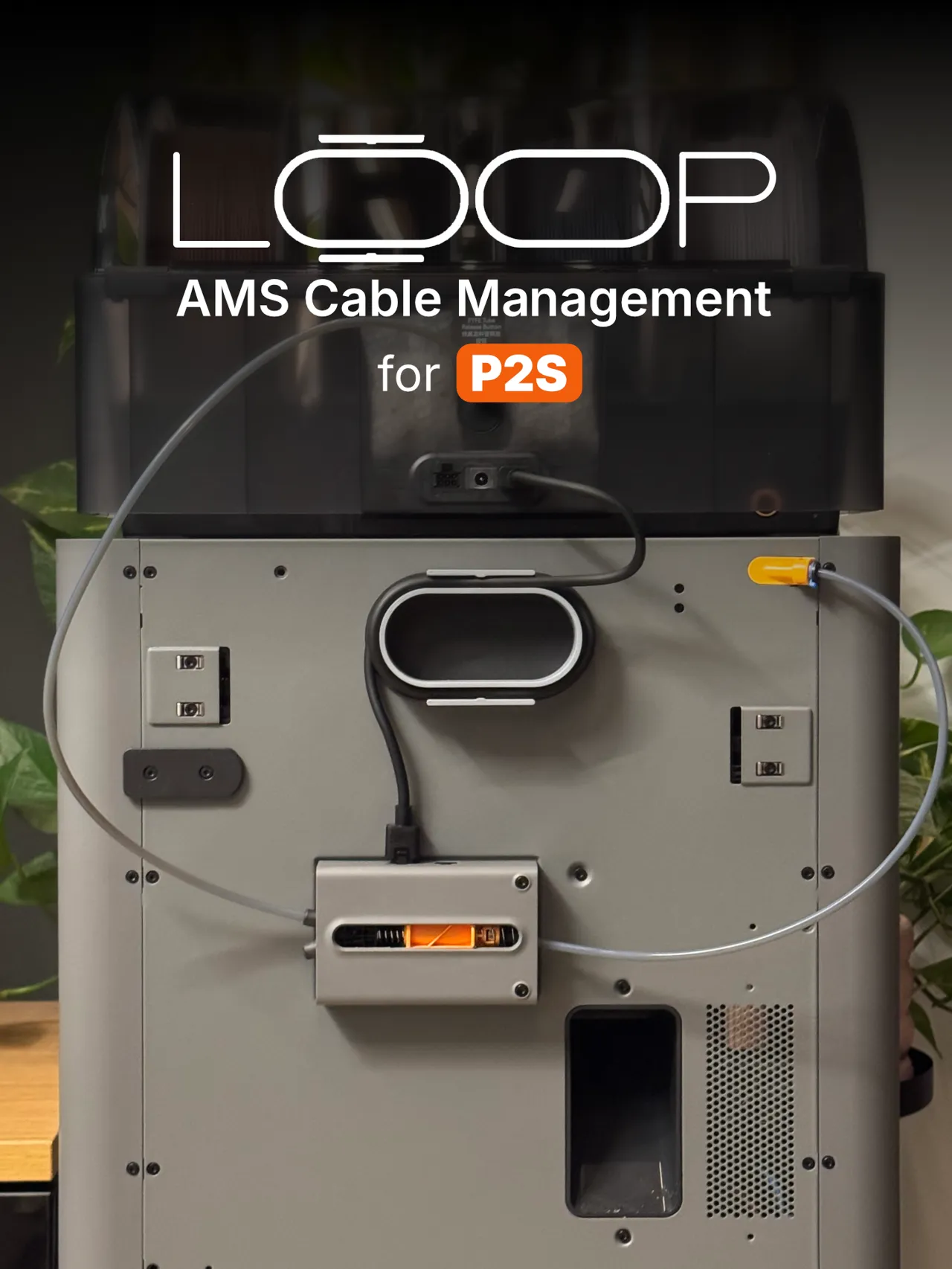 Loop AMS Cable Management for P2S view 2