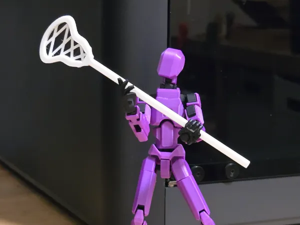 https://makerworld.bblmw.com/makerworld/model/US875a4eeb5ddf9e/design/2025-11-14_c25a16703c019.jpg