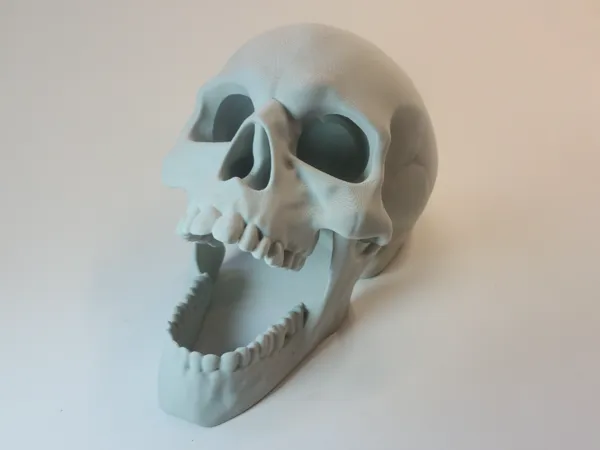 https://makerworld.bblmw.com/makerworld/model/US875abc60f90dfc/design/2025-05-28_e57202980c7e18.jpg