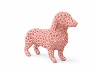 varoni dachshund