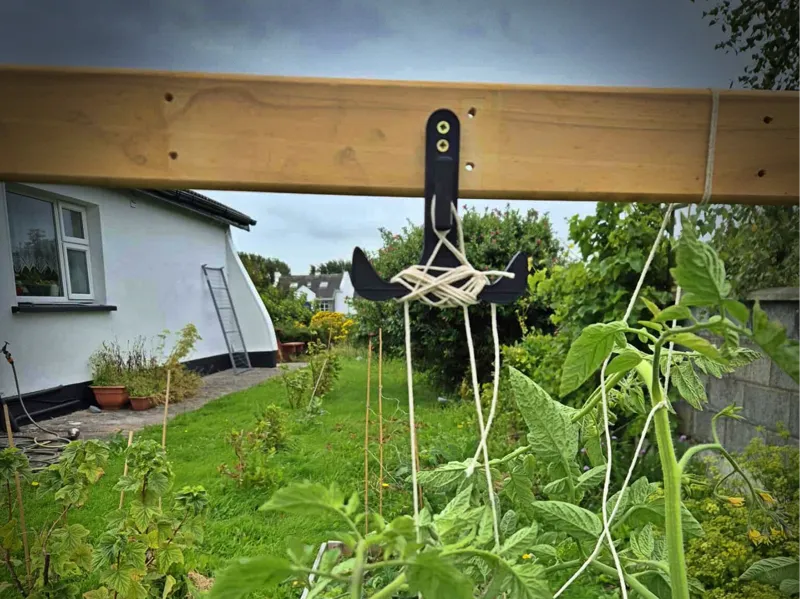 Plant Tie-Up Hook