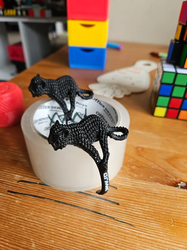 https://makerworld.bblmw.com/makerworld/model/US87684ad60d4e4f/design/2024-04-20_2f719bdd21d6a.jpg