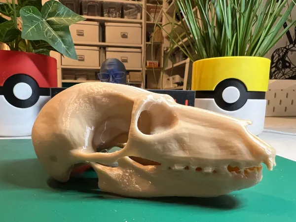 https://makerworld.bblmw.com/makerworld/model/US8768801d0008de/design/2025-01-03_bebe991fbb1d2.jpg
