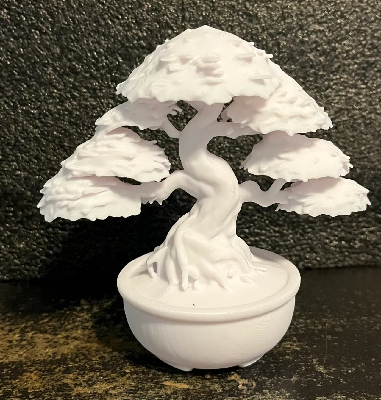 Bonsai Tree view 2