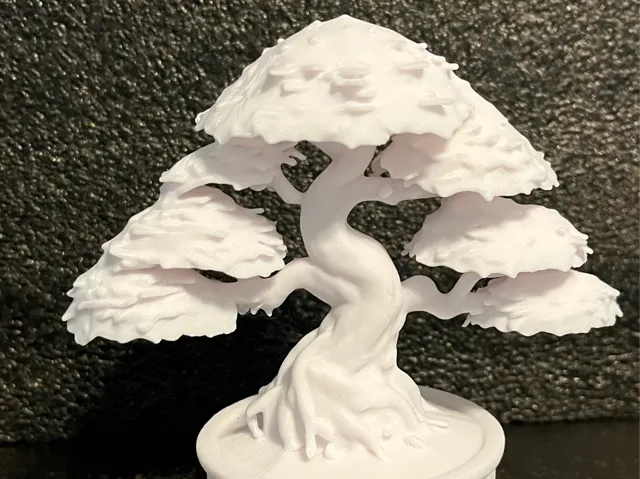 Bonsai Tree
