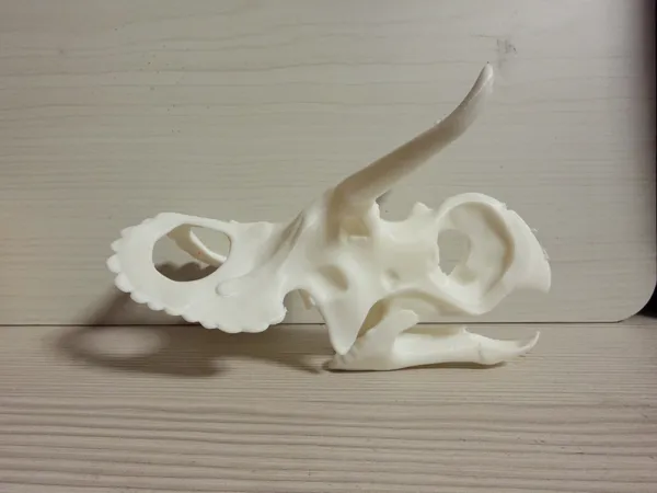 https://makerworld.bblmw.com/makerworld/model/US876a37bbbd2d9d/design/c3f0a5c0e9b7bf8c.png