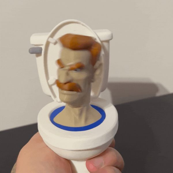 https://makerworld.bblmw.com/makerworld/model/US876ddce464455c/design/2025-07-10_ebc89759e6667.gif