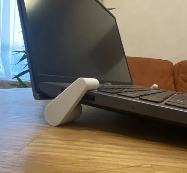 https://makerworld.bblmw.com/makerworld/model/US876e6b4162b124/design/2024-01-12_96332abfd982d.jpg